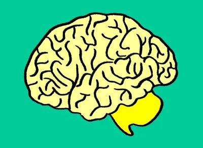 drawing of a brain coloured in yellow against a green background