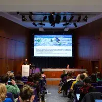 Photo of lecture theatre with a speaker, behind which is a screen showing a picture of someone sea surfing 